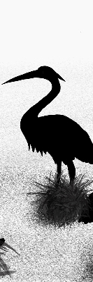 Fabric roller blind Herons