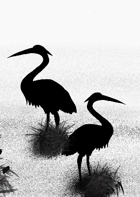 Fabric roller blind Herons