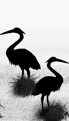 Fabric roller blind Herons