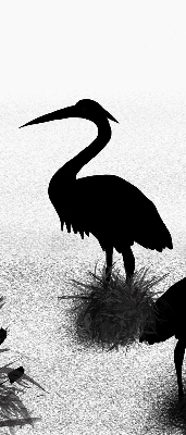 Fabric roller blind Herons
