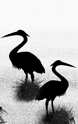 Fabric roller blind Herons