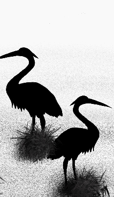 Fabric roller blind Herons