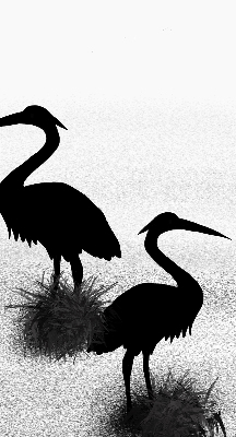 Fabric roller blind Herons