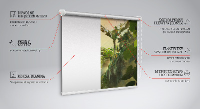 Modern roller blind Plant frame