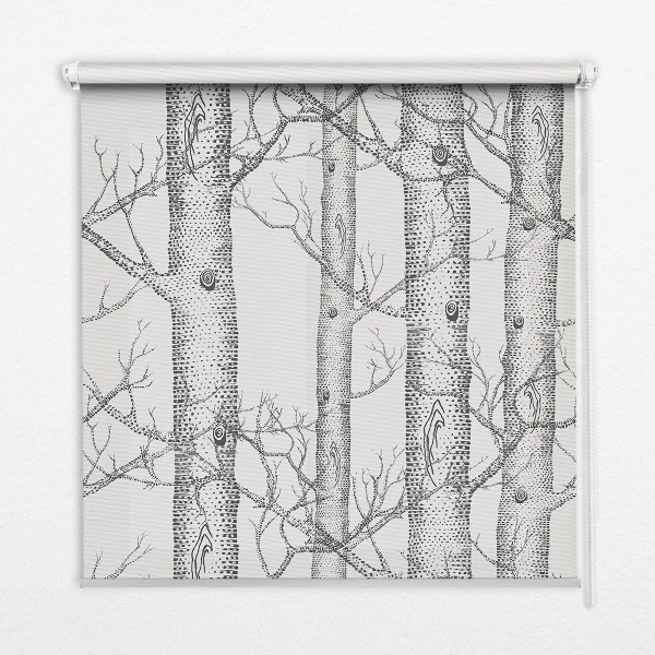 Roller blind for large window Trunks