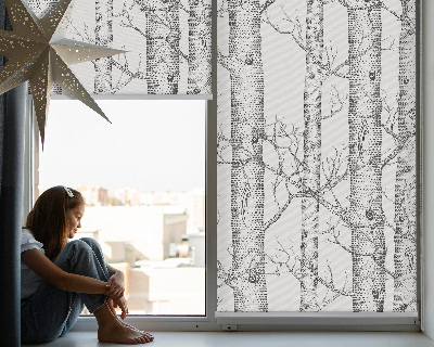 Roller blind for large window Trunks