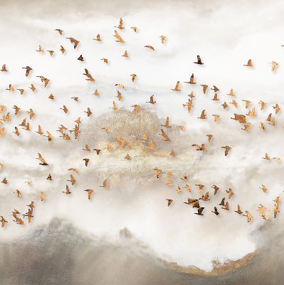 Roller blind for large window A flock of birds