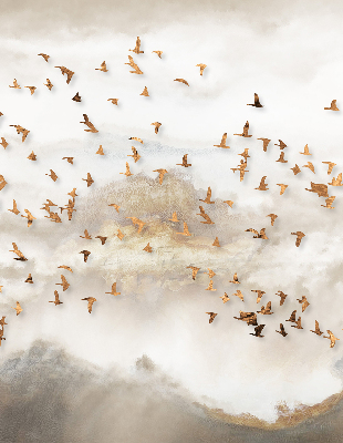 Roller blind for large window A flock of birds