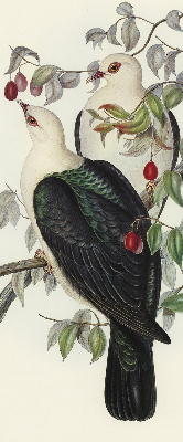 Roller blind for large window Birds on a branch