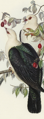 Roller blind for large window Birds on a branch