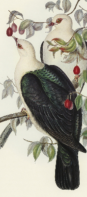 Roller blind for large window Birds on a branch
