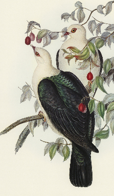 Roller blind for large window Birds on a branch