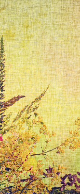 Roller blind for large window Plants