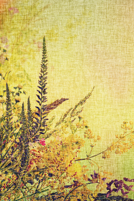 Roller blind for large window Plants