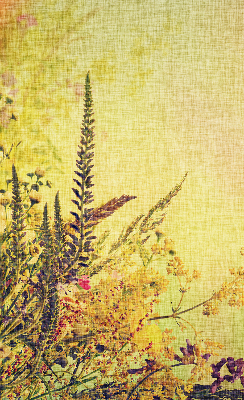 Roller blind for large window Plants