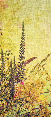 Roller blind for large window Plants