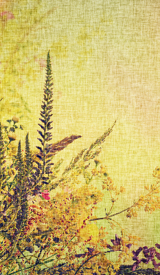 Roller blind for large window Plants