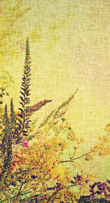 Roller blind for large window Plants