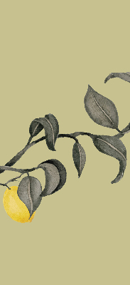 Fabric roller blind Lemons on the tree