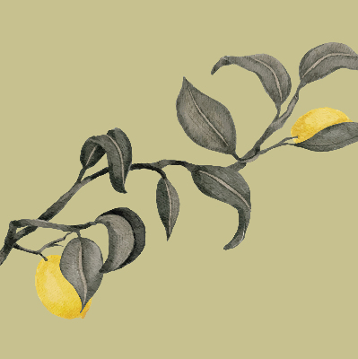 Fabric roller blind Lemons on the tree