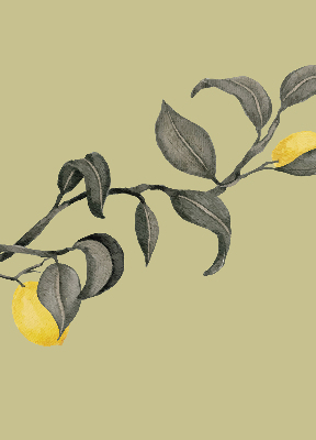 Fabric roller blind Lemons on the tree