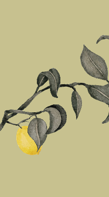 Fabric roller blind Lemons on the tree