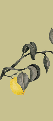 Fabric roller blind Lemons on the tree