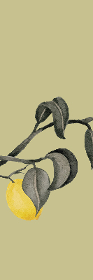 Fabric roller blind Lemons on the tree