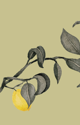 Fabric roller blind Lemons on the tree