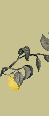Fabric roller blind Lemons on the tree