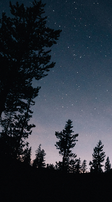 Roller blind for large window Starry sky