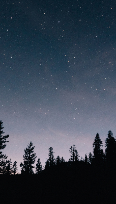 Roller blind for large window Starry sky
