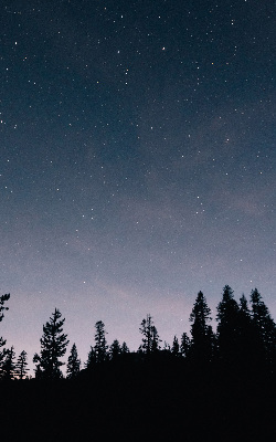 Roller blind for large window Starry sky