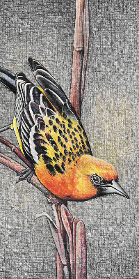 Fabric roller blind A bird on a branch