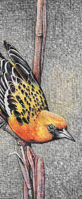 Fabric roller blind A bird on a branch