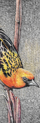 Fabric roller blind A bird on a branch