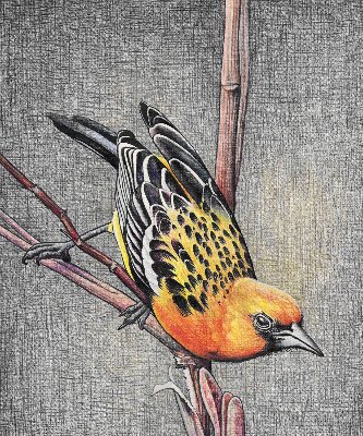 Fabric roller blind A bird on a branch