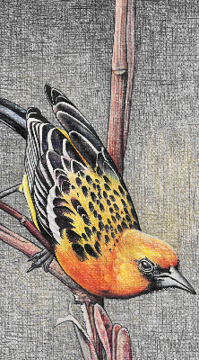 Fabric roller blind A bird on a branch