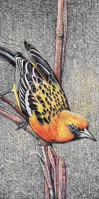 Fabric roller blind A bird on a branch