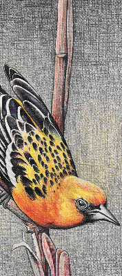 Fabric roller blind A bird on a branch