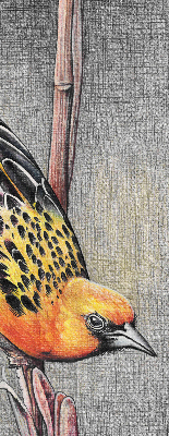 Fabric roller blind A bird on a branch