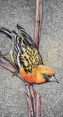 Fabric roller blind A bird on a branch