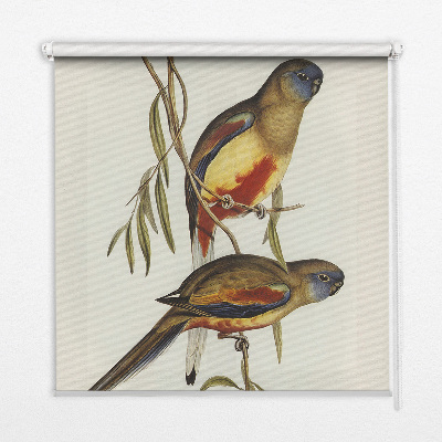 Fabric roller blind Two birds on a branch