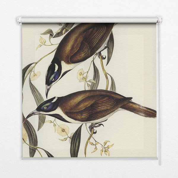 Modern roller blind Birds on a tree