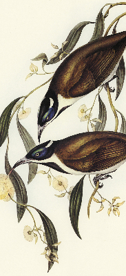 Modern roller blind Birds on a tree