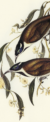 Modern roller blind Birds on a tree