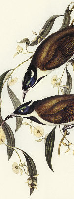 Modern roller blind Birds on a tree