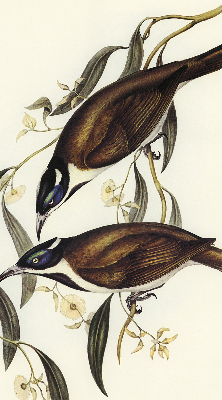 Modern roller blind Birds on a tree