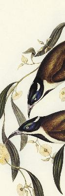 Modern roller blind Birds on a tree
