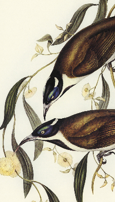 Modern roller blind Birds on a tree